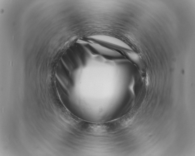 X0000088890221200706291448