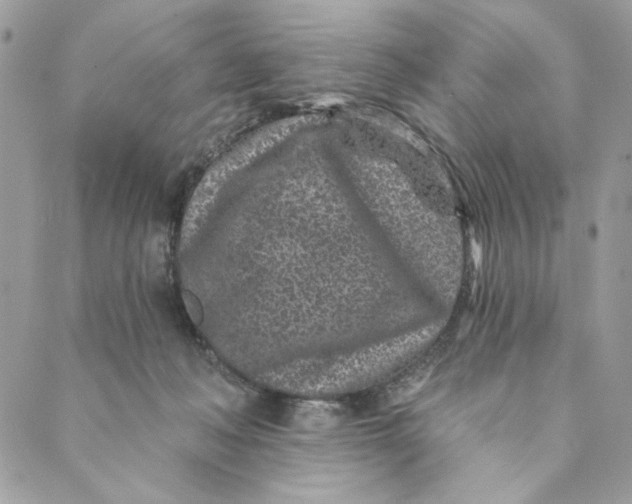 X0000088890222200706291448