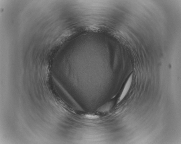 X0000088890223200706291448