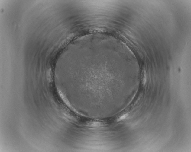 X0000088890224200706291448