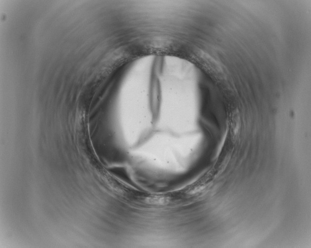 X0000088890225200706291448