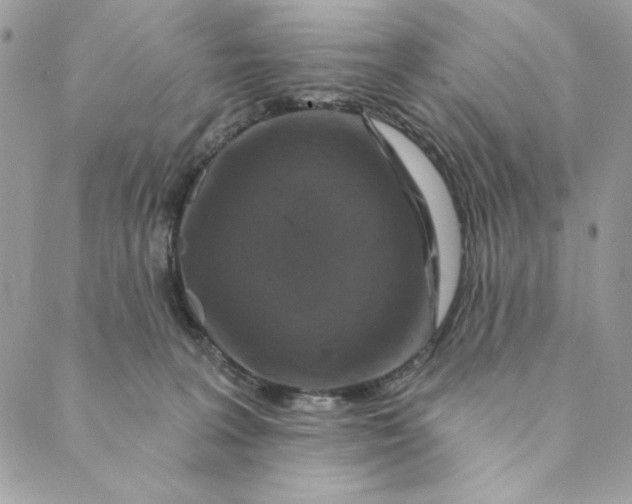 X0000088890227200706291448