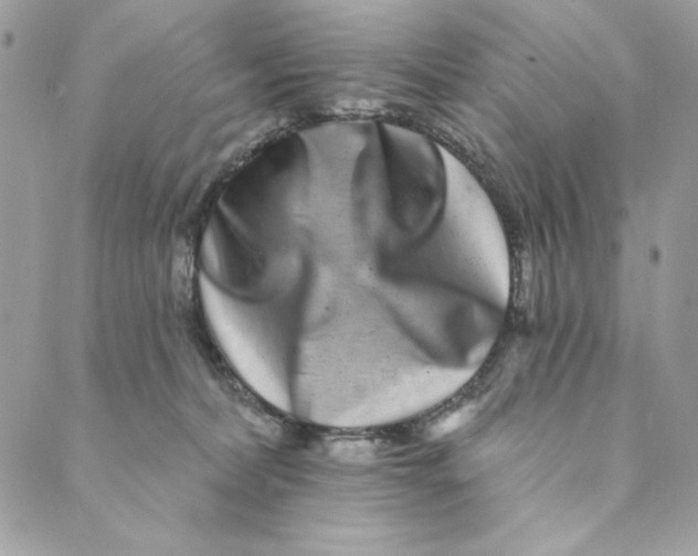 X0000088890228200706291448