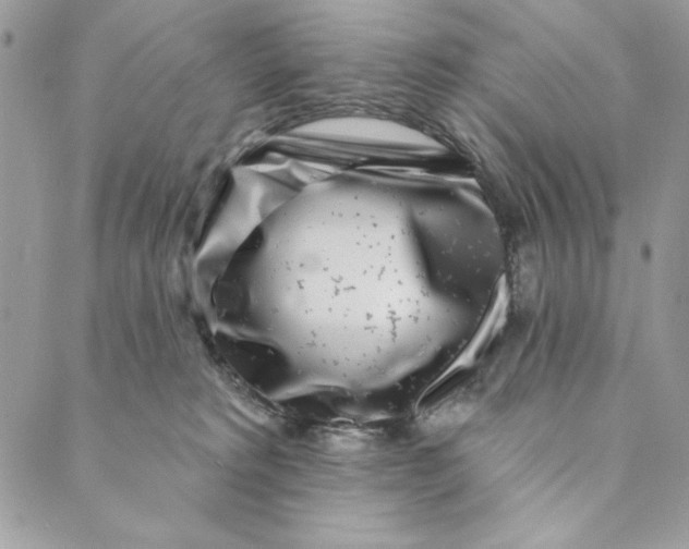 X0000088890229200706291447