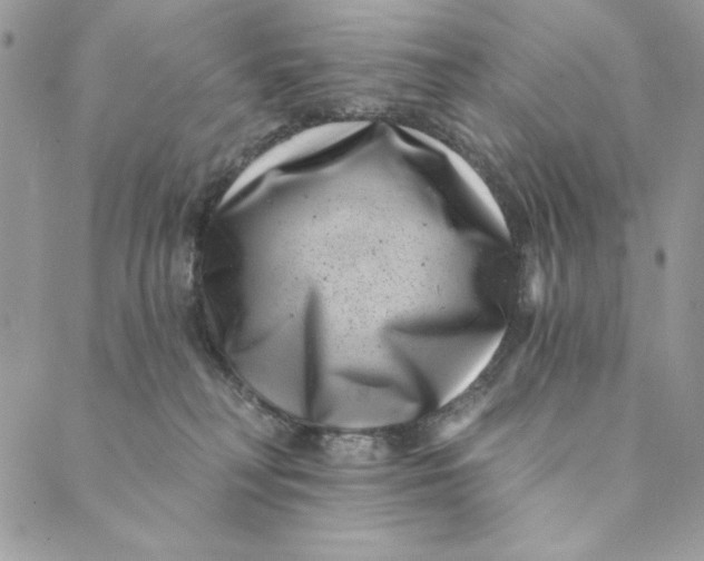 X0000088890230200706291447