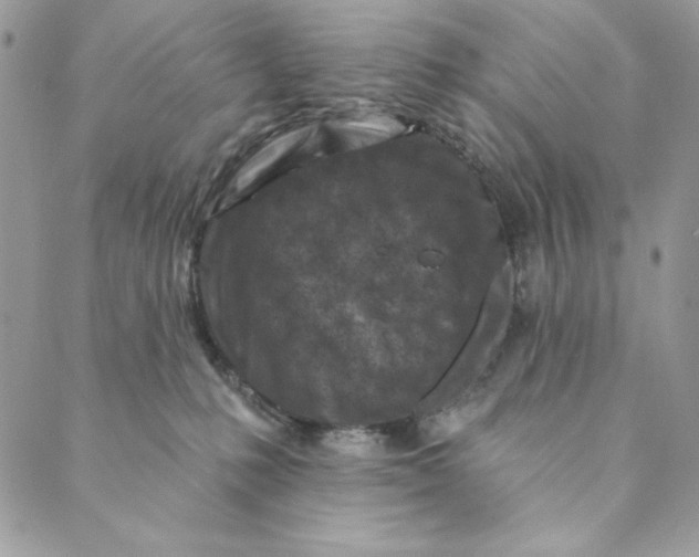 X0000088890231200706291447