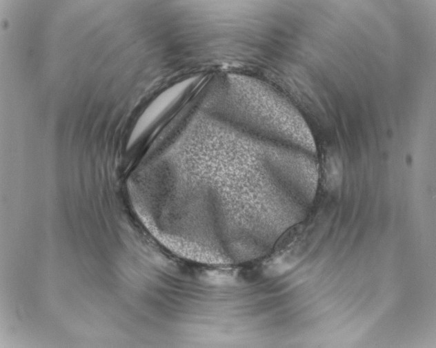 X0000088890232200706291447