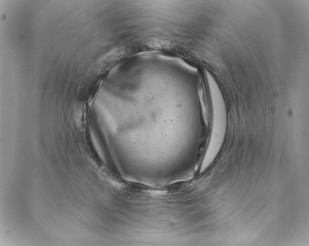 X0000088890233200706291447