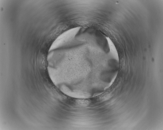 X0000088890234200706291447