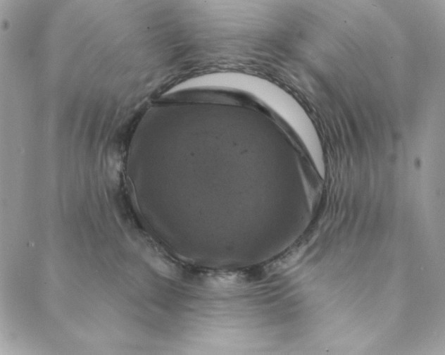 X0000088890235200706291447