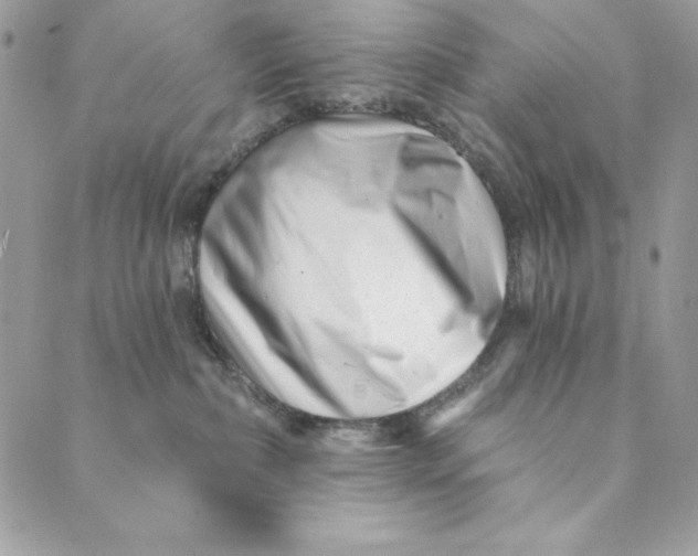 X0000088890236200706291447