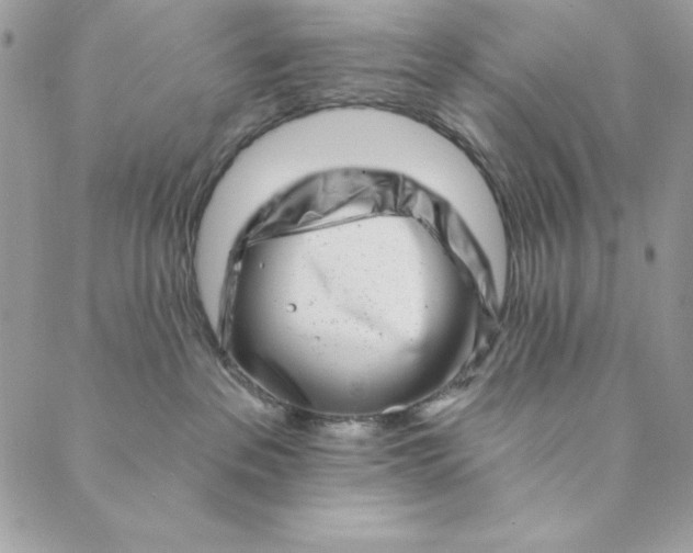 X0000088890237200706291447