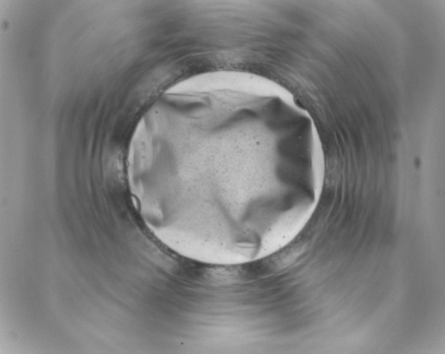 X0000088890238200706291447