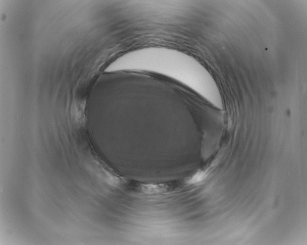 X0000088890239200706291447