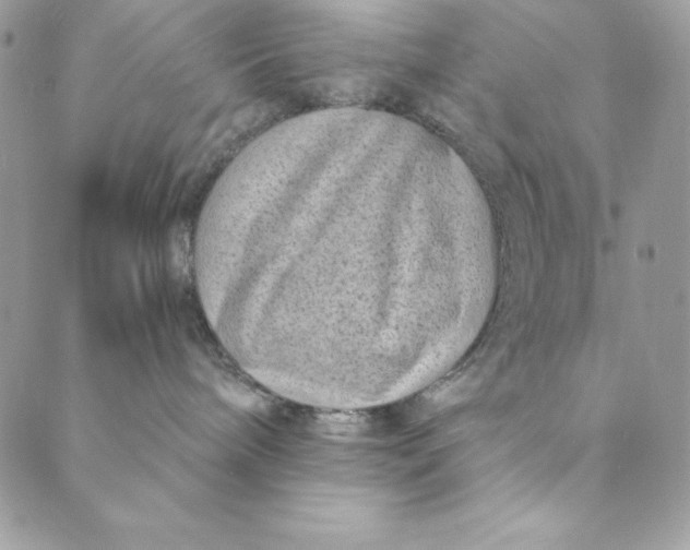 X0000088890240200706291447