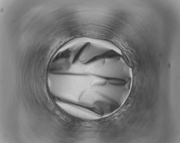 X0000088890241200706291447