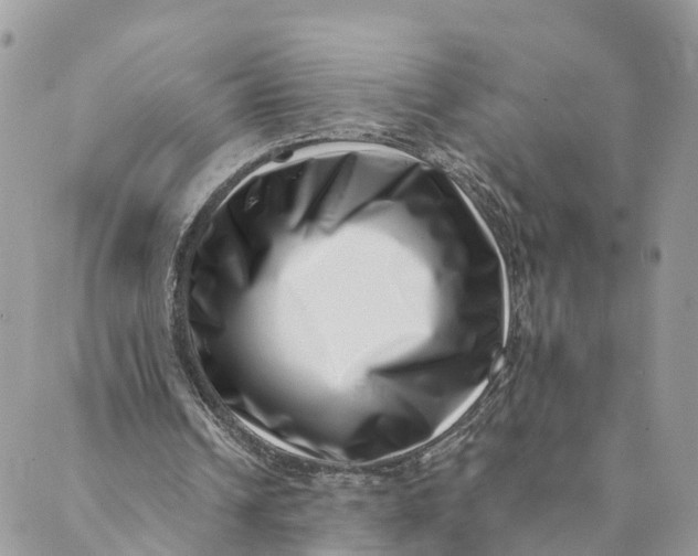 X0000088890242200706291447