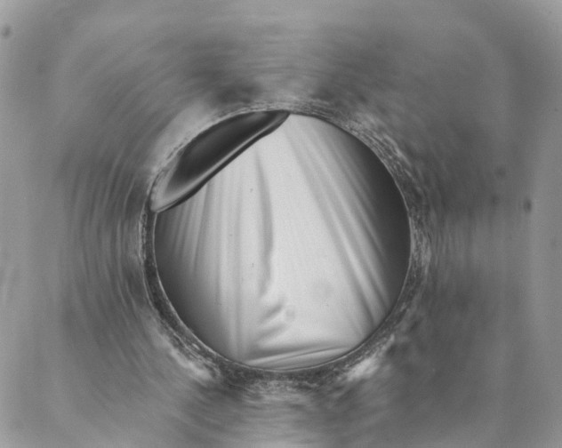 X0000088890244200706291447