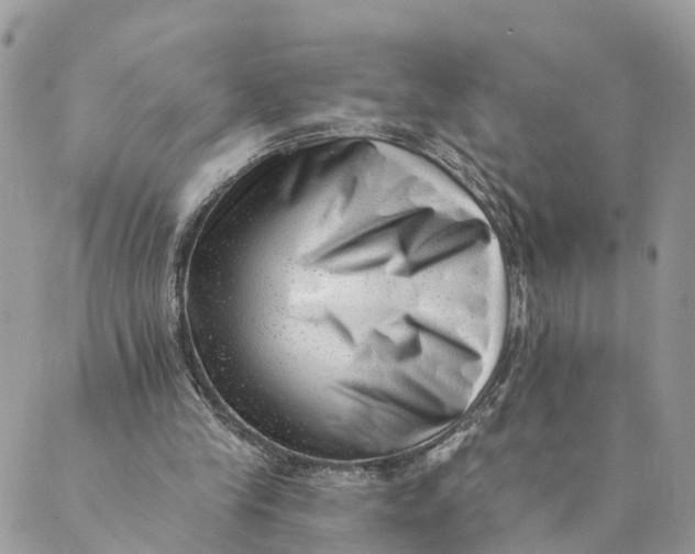 X0000088890245200706291447