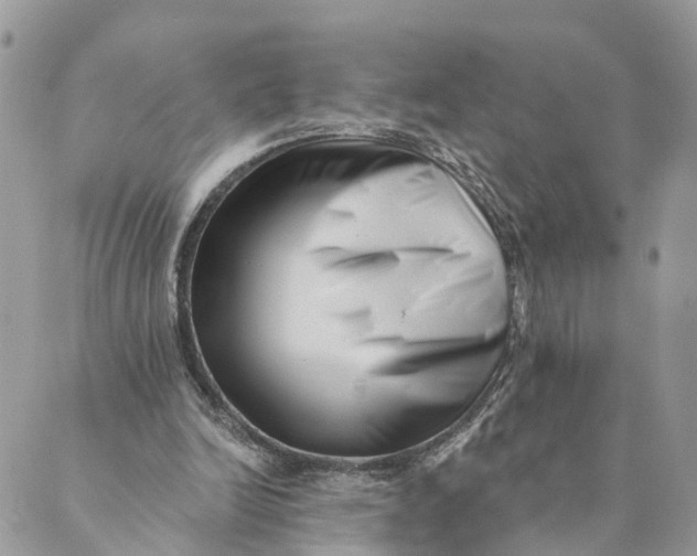 X0000088890246200706291447