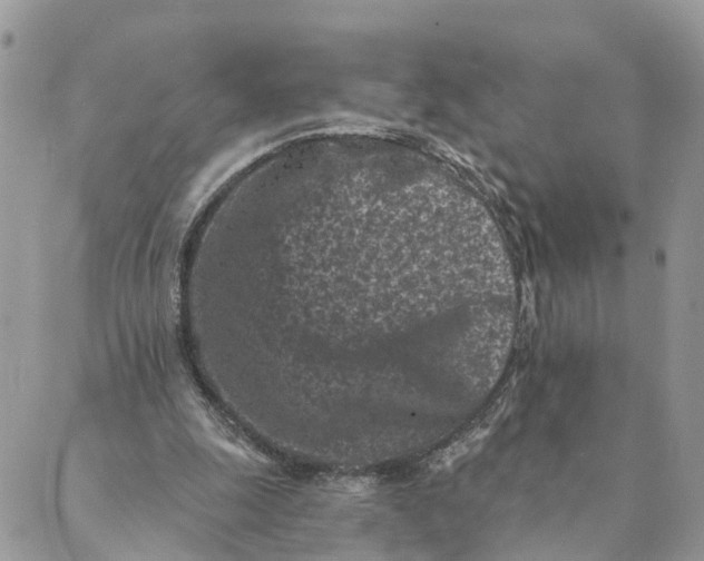 X0000088890247200706291447