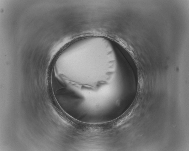 X0000088890248200706291447