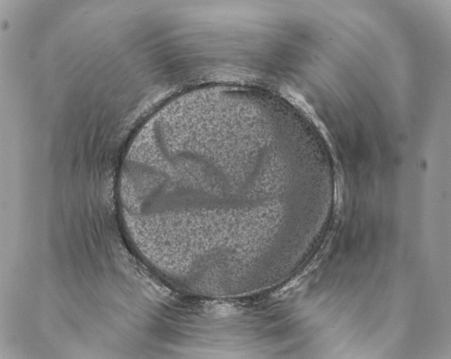 X0000088890249200706291447