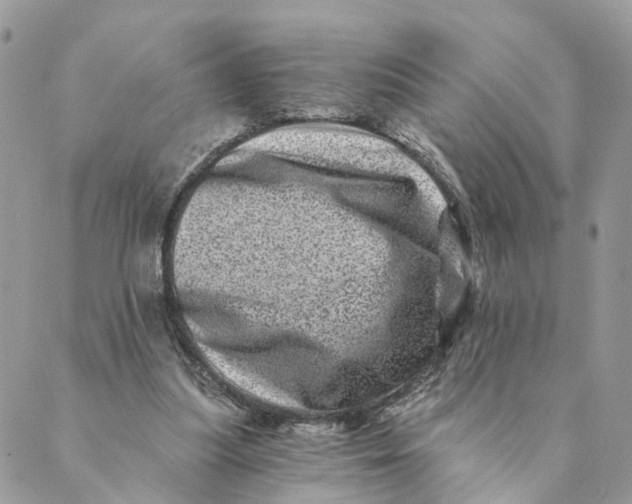 X0000088890251200706291447