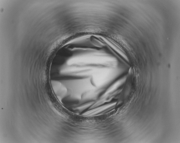 X0000088890252200706291447