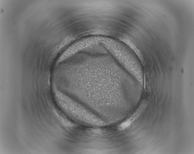 X0000088890253200706291447