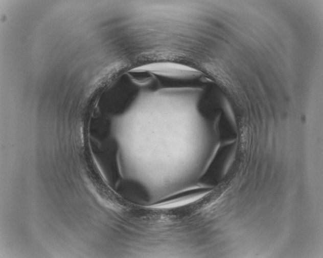 X0000088890254200706291447