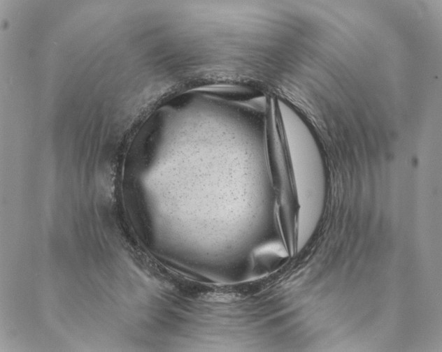 X0000088890255200706291447