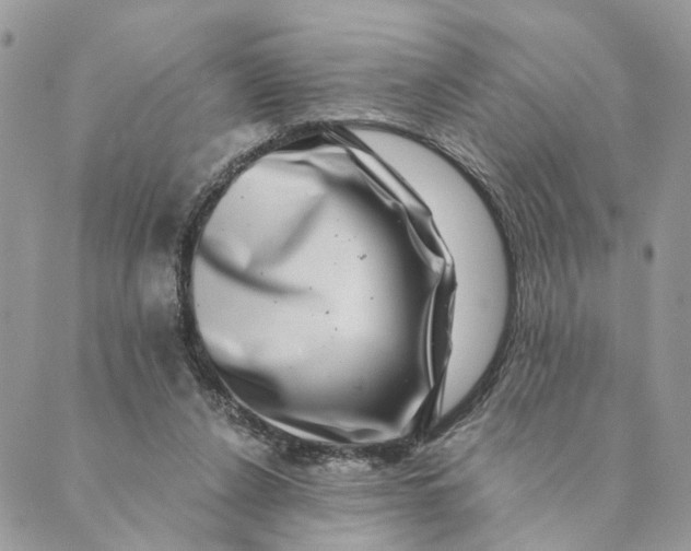 X0000088890256200706291447