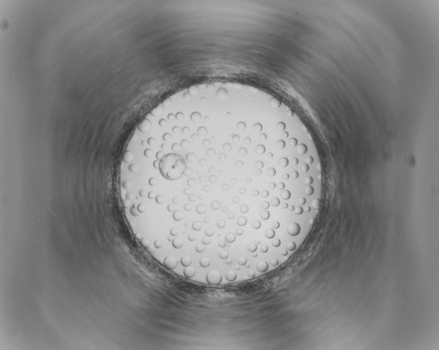 X0000088890257200706291447