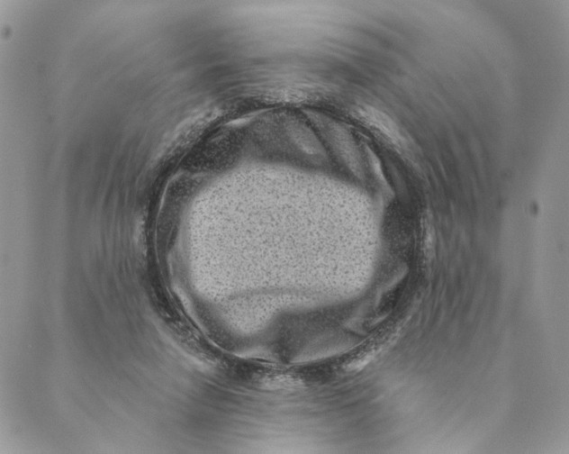 X0000088890258200706291447