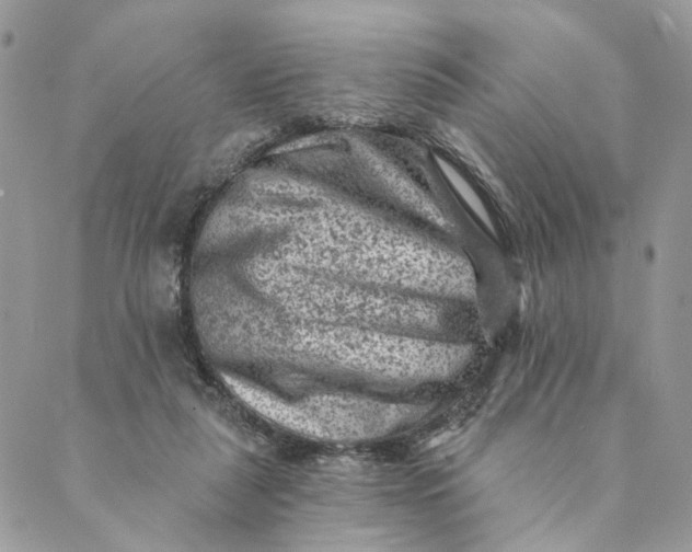 X0000088890259200706291447