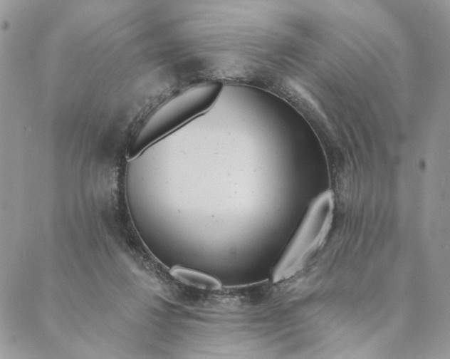 X0000088890260200706291447