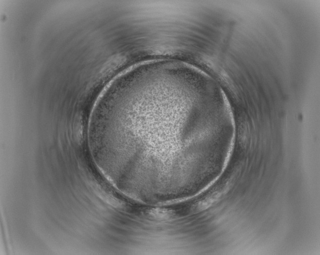 X0000088890261200706291447