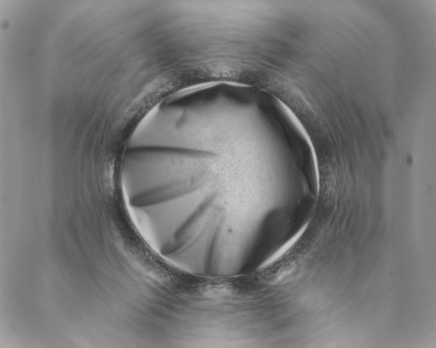 X0000088890262200706291447