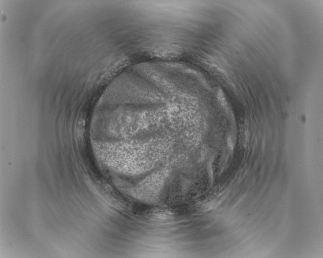 X0000088890263200706291447