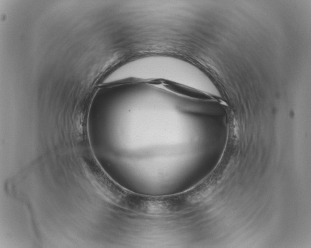 X0000088890264200706291447