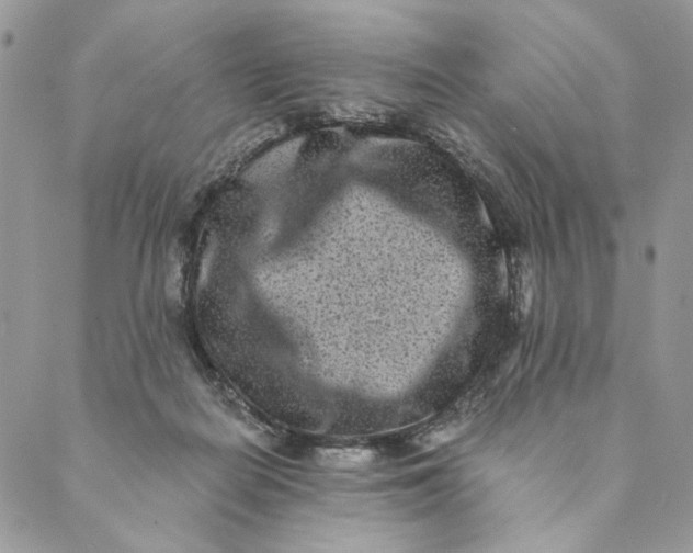 X0000088890266200706291447