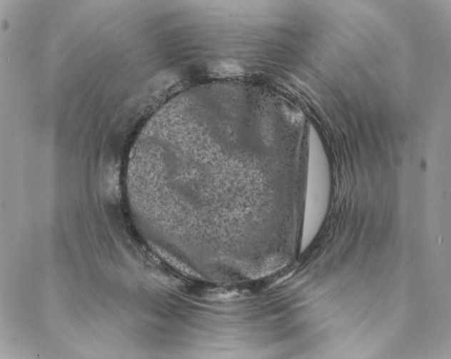 X0000088890267200706291447