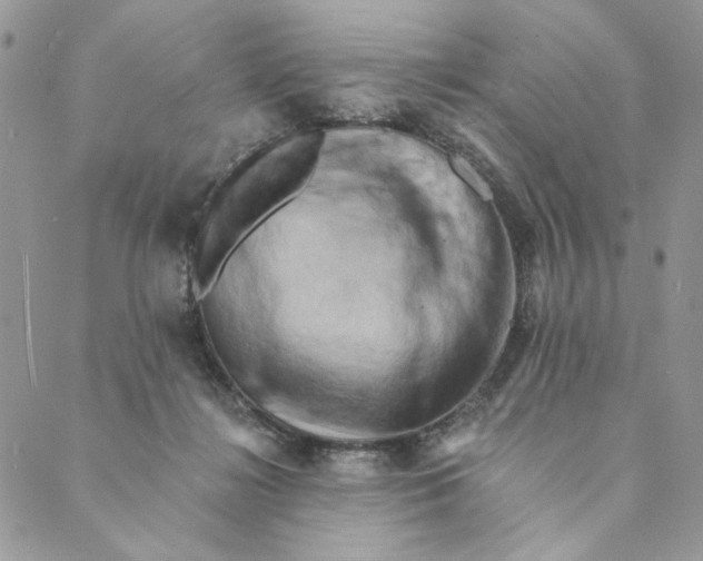 X0000088890268200706291447