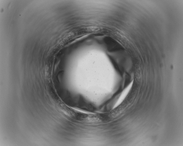 X0000088890270200706291447