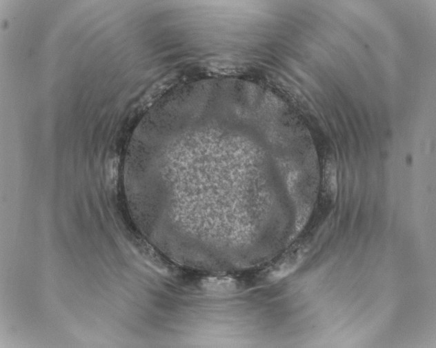 X0000088890271200706291447