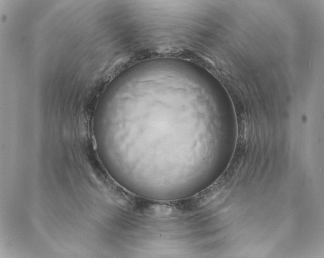 X0000088890272200706291447