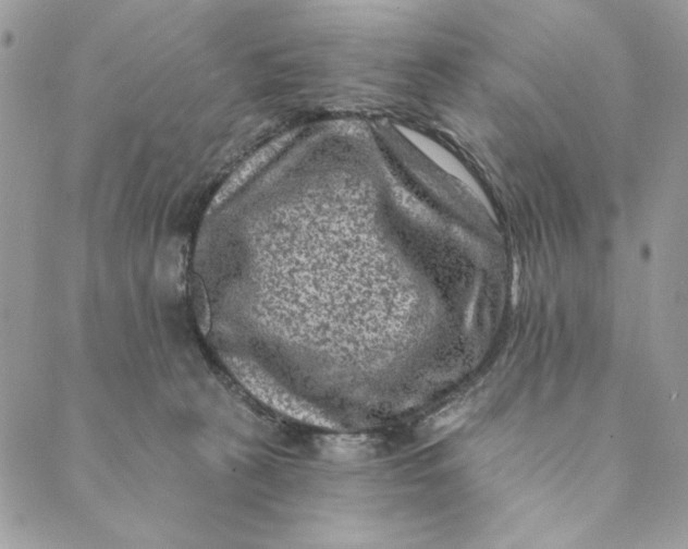 X0000088890273200706291447