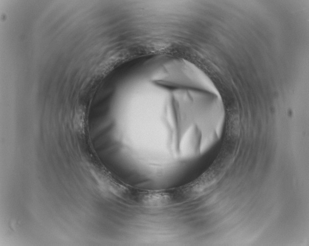 X0000088890274200706291447