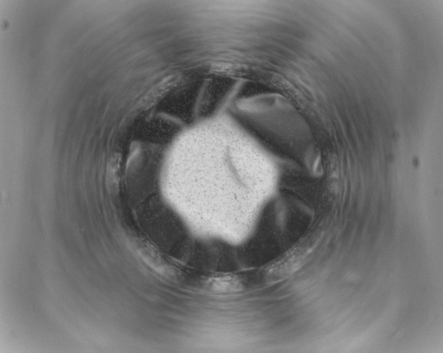 X0000088890275200706291447